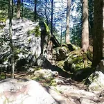 Bergjuwel